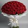 Букет 101 Красная роза Блэк Мэджик в Гае