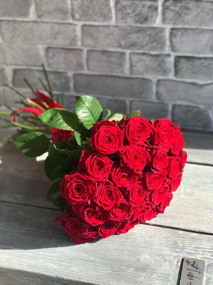 Букет Красные розы Фридом в Гае