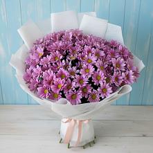 Букет цветов из:  Хризантемы в Гае