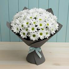 Букет цветов из:  Хризантемы в Гае