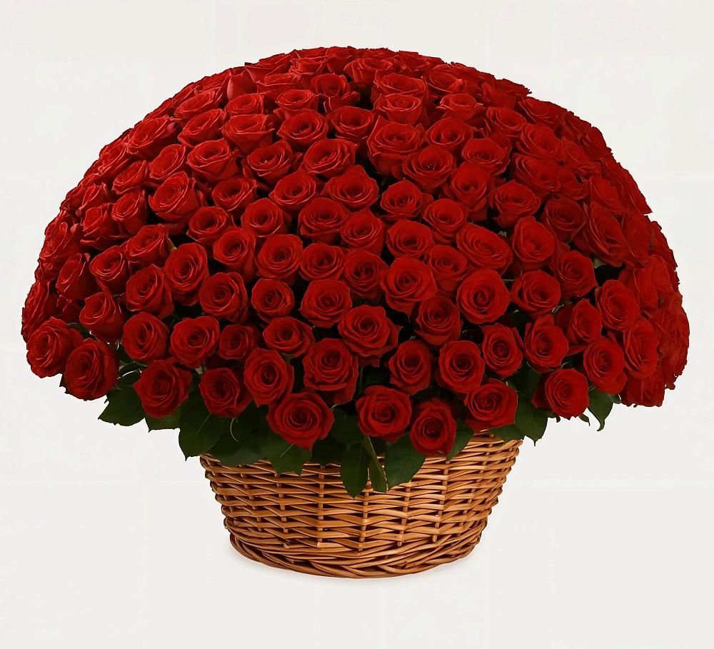 Премиум букет из: Розы в Гае