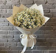 Букет цветов из:  Ромашки #REPLACE_PRED# Гае