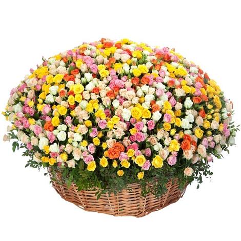 Премиум букет из: Розы в Гае