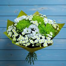 Букет цветов из:  Хризантемы #REPLACE_PRED# Гае