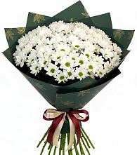 Букет цветов из:  Хризантемы в Гае