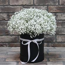 Цветочная композиция из Гипсофила в шляпной коробке в Гае