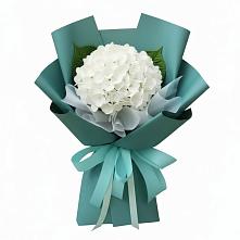 Букет цветов из:  Гортензия в Гае